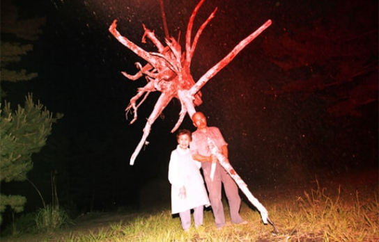 Shiga Lieko portrait of cultivation from the series of 'Rasen Kaigan'